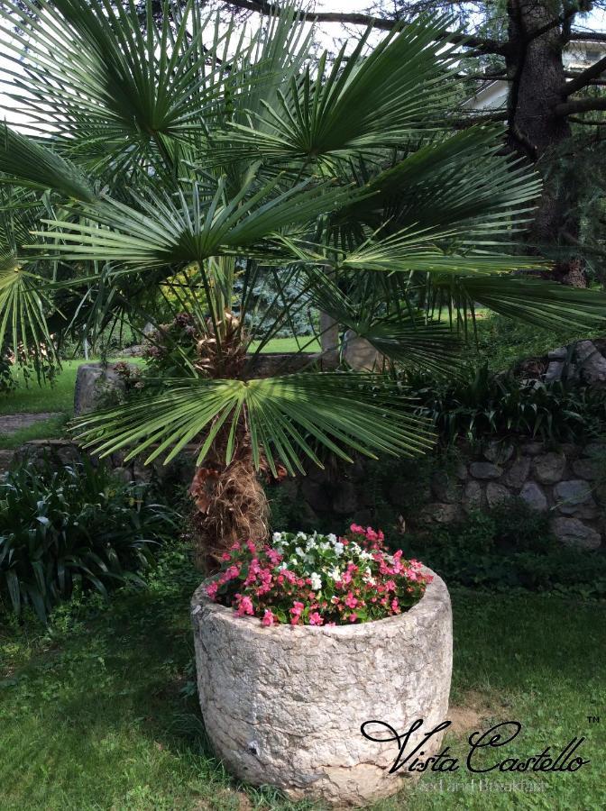 Vista Castello Bed & Breakfast Rovereto  Bagian luar foto