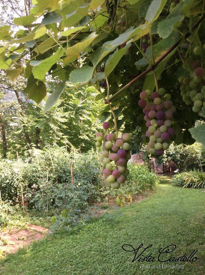 Vista Castello Bed & Breakfast Rovereto  Bagian luar foto